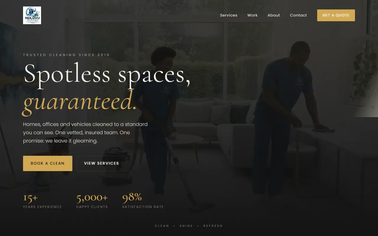 Ndlovu Professional Cleaners website